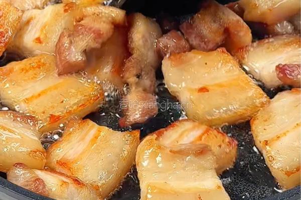 可乐卤肉饭的做法图解1