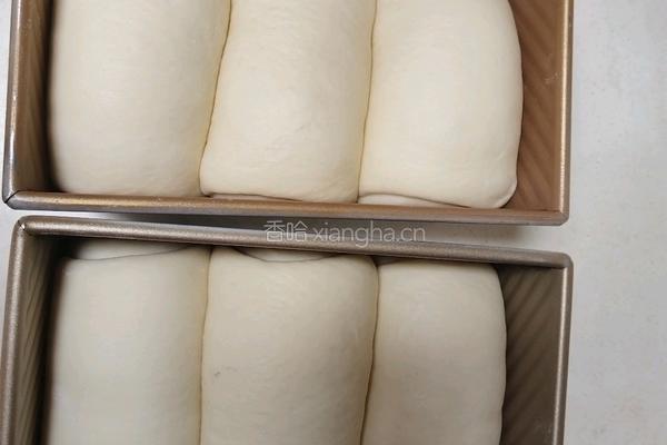 （烫种）鲜奶吐司（2个450g）的做法图解18