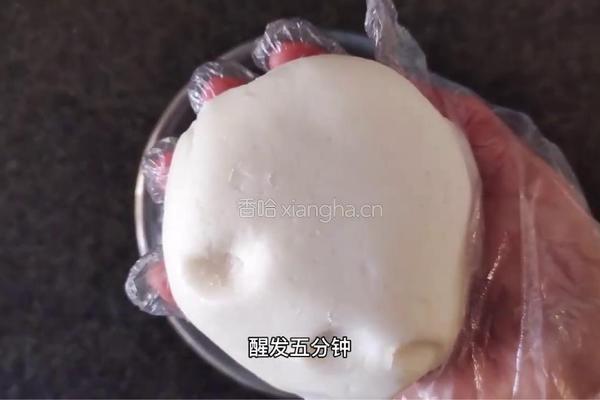 金汤加拿大北极虾饺的做法图解5