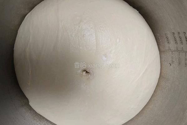酸奶吐司(波兰种)2个450g吐司的做法图解10