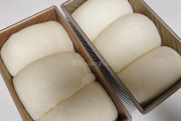 酸奶吐司(波兰种)2个450g吐司的做法图解19