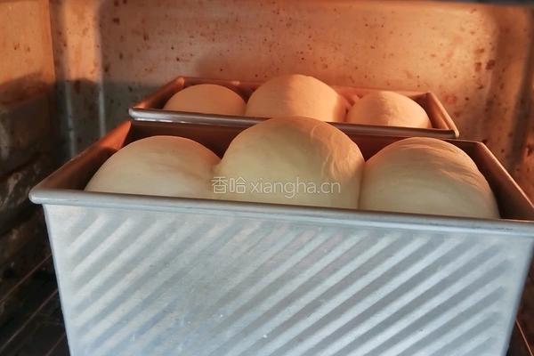 酸奶吐司(波兰种)2个450g吐司的做法图解20