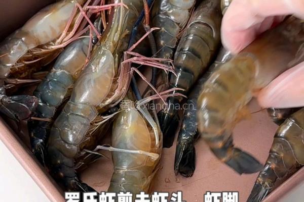 黑松露蒜香黄油罗氏虾的做法图解1