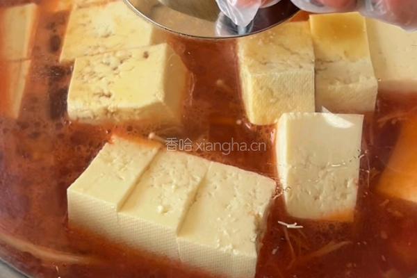 牛肉豆腐煲的做法图解6