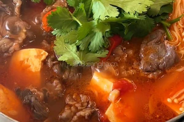 牛肉豆腐煲的做法图解8