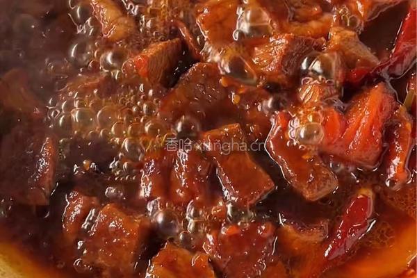 番茄土豆炖牛肉的做法图解5