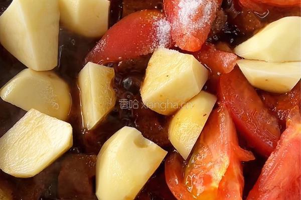 番茄土豆炖牛肉的做法图解6