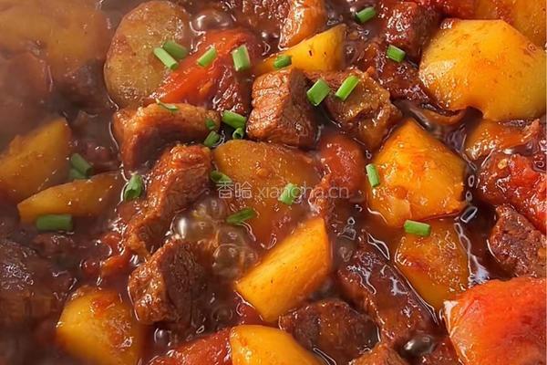 番茄土豆炖牛肉的做法图解7