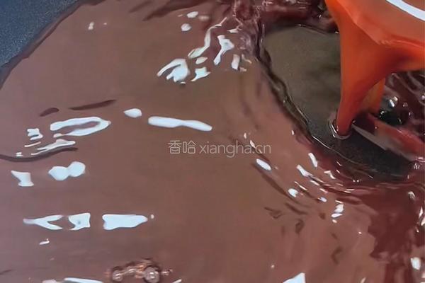 鸡肉卷的做法图解5