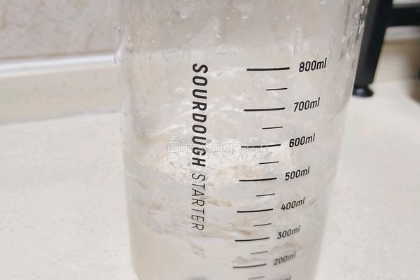 波兰种奶油吐司（2个450g吐司）的做法图解2