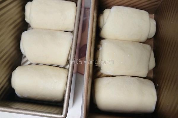 波兰种奶油吐司(2个450g吐司)的做法图解19