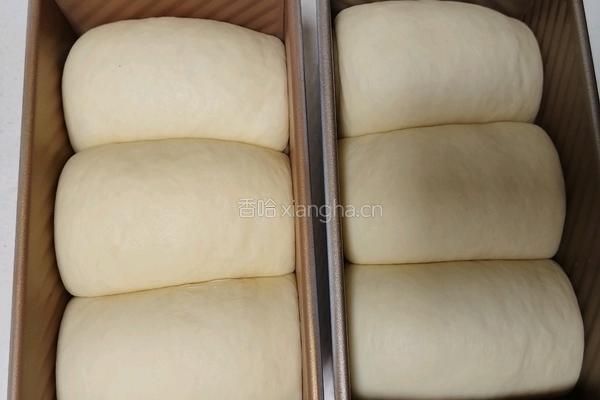 波兰种奶油吐司（2个450g吐司）的做法图解20