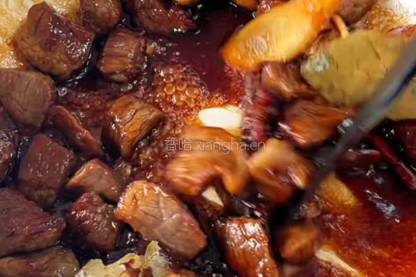 百山祖酱香土豆炖牛腩 的做法图解5