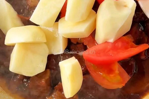 百山祖酱香土豆炖牛腩 的做法图解8