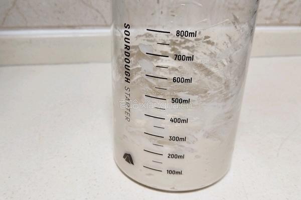 奶油吐司(波兰种 2个450g)的做法图解2