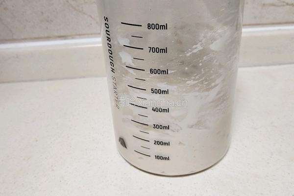 奶油吐司(波兰种 2个450g)的做法图解3
