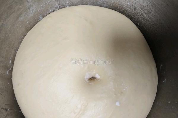 奶油吐司（波兰种 2个450g）的做法图解10
