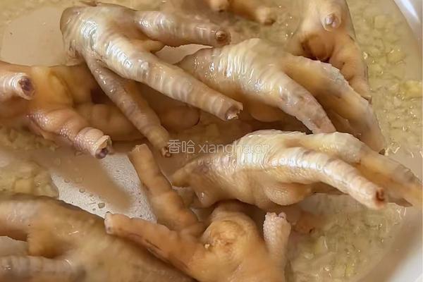 韩式辣鸡爪的做法图解4
