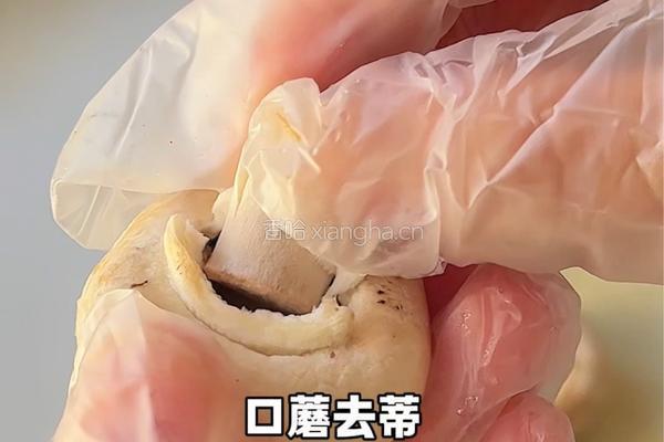 口蘑鲜汤面的做法图解1