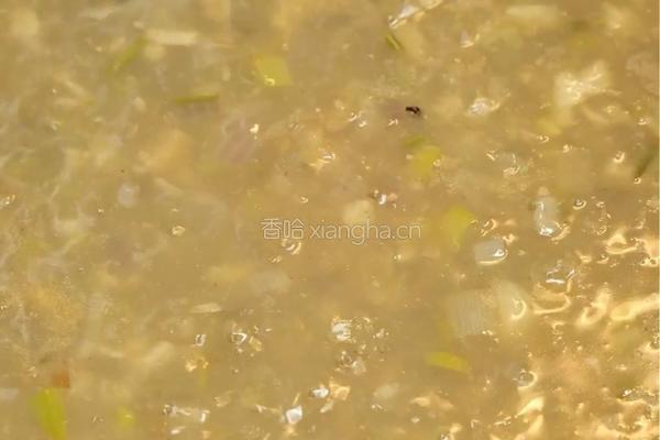 法式奶油蛤蜊青归贝的做法图解4