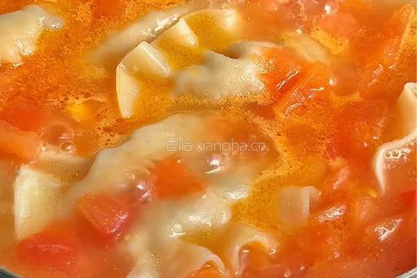 番茄酸汤水饺的做法图解5