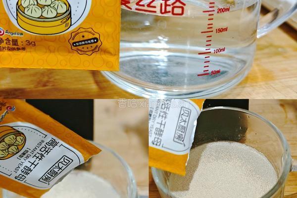 韭菜鸡蛋发面饼的做法图解6