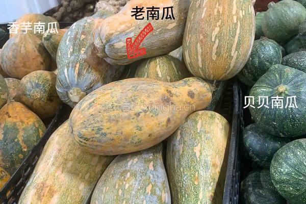 南瓜奶露的做法图解1