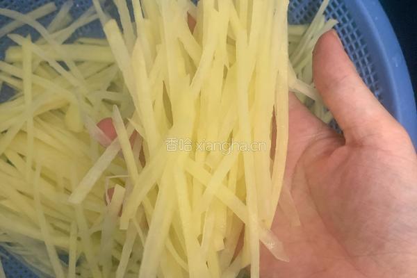 炒酸辣土豆丝的做法图解2