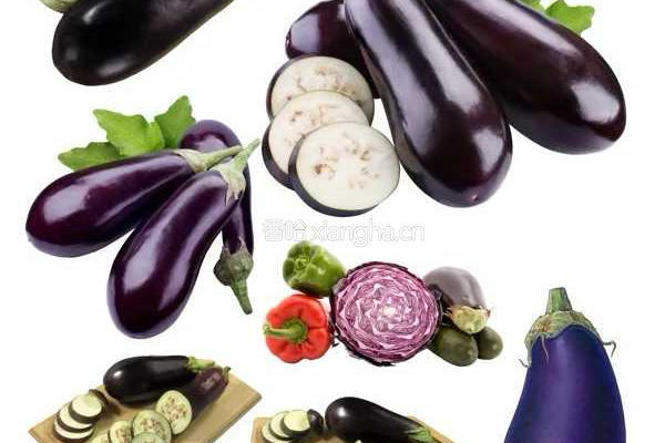红烧肉末茄子的做法图解1