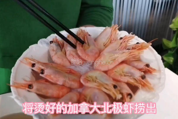 捞汁加拿大北极虾的做法图解5