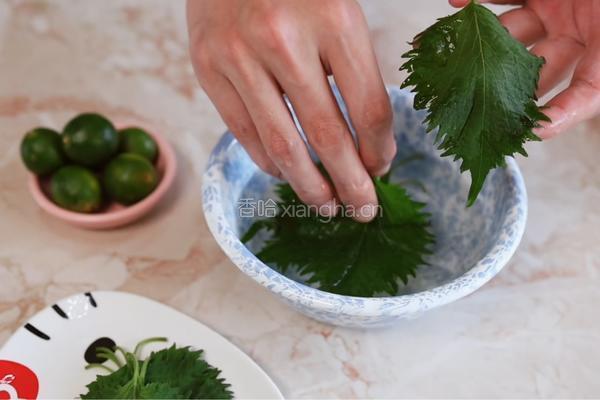 紫苏木姜子加拿大北极虾生虾的做法图解2