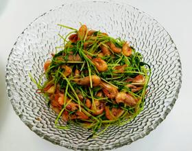 河虾豌豆苗[图]