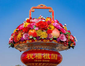 我爱我的祖国[图]