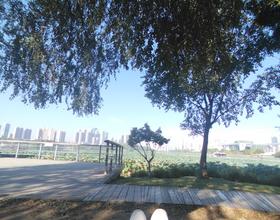日光浴躺凳！☀️[图]